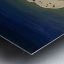 Rockwell Kent  24 Metal print