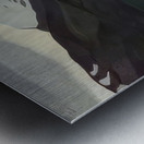 Rockwell Kent  34 Metal print