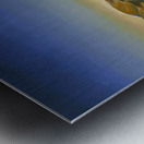 Rockwell Kent  42 Metal print