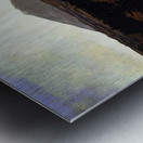 Rockwell Kent  49 Metal print