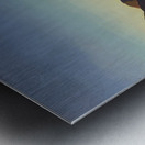 Rockwell Kent  53 Metal print