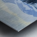 Rockwell Kent  60 Metal print