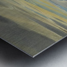 Rockwell Kent  73 Metal print