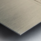 Ben Shahn 7 Metal print