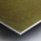 Ben Shahn 25 Metal print