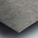 Ben Shahn 37 Metal print