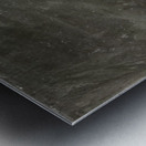 Chaim Soutine 22 Metal print