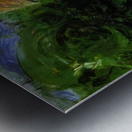 Chaim Soutine 25 Metal print