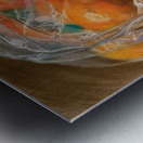 Chaim Soutine 15 Metal print