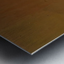 John Hoyland 5 Metal print