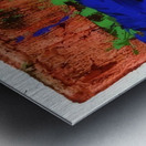 John Hoyland 11 Metal print