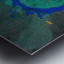 John Hoyland 49 Metal print