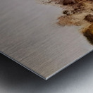 Zao Wo Ki 30 Metal print