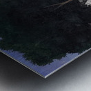 Felix Vallotton - The Family of Trees  1922  Metal print