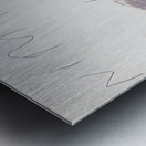 Art by Cy Twombly 9 Metal print