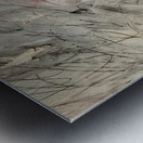 Art by Cy Twombly 42 Metal print