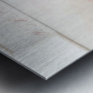 Art by Cy Twombly 33 Metal print