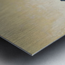 Art by Ferdinand Hodler  2 Metal print