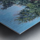 Art by Ferdinand Hodler  8 Metal print