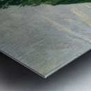 Art by Ferdinand Hodler  12 Metal print