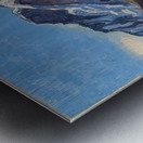 Art by Ferdinand Hodler  14 Metal print