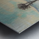 Art by Ferdinand Hodler  16 Metal print