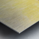 Art by Ferdinand Hodler  17 Metal print