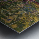 Art by Ferdinand Hodler  19 Metal print