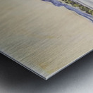 Art by Ferdinand Hodler  29 Metal print