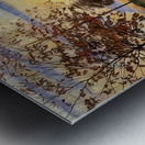 Art by Ferdinand Hodler  32 Metal print