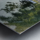 Art by Ferdinand Hodler  34 Metal print