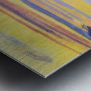 Art by Ferdinand Hodler  35 Metal print