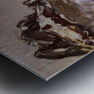 Art by Ferdinand Hodler  18 Metal print