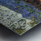 Art by Ferdinand Hodler  19 Metal print