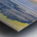 Art by Ferdinand Hodler  33 Metal print