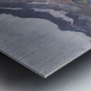 Art by Ferdinand Hodler  36 Metal print