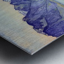 Art by Ferdinand Hodler  37 Metal print