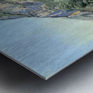 Art by Ferdinand Hodler  42 Metal print