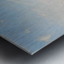 Art by Ferdinand Hodler  49 Metal print