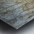 Art by Ferdinand Hodler  50 Metal print