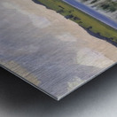 Art by Ferdinand Hodler  52 Metal print