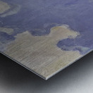 Art by Ferdinand Hodler  58 Metal print