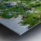 Robert Vonnoh 5 Metal print