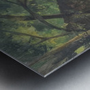 Robert Vonnoh 11 Metal print