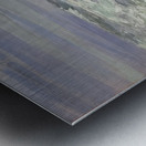 Robert Vonnoh 17 Metal print