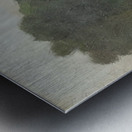 Robert Vonnoh 20 Metal print