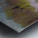 Robert Vonnoh 25 Metal print