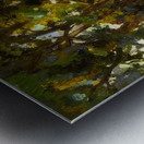 Robert Vonnoh 35 Metal print