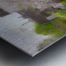 Robert Vonnoh 40 Metal print