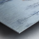 Robert Vonnoh 46 Metal print